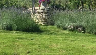 Dimorra Country House - Foto 3, Garden