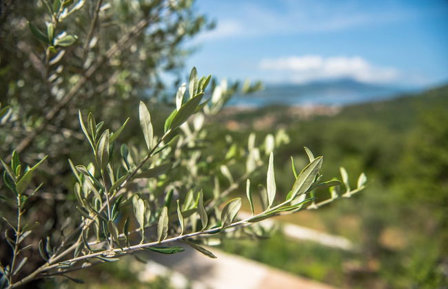 Sunset Holiday Home - Photo 21