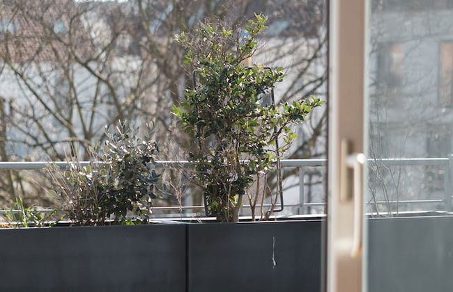 Châtelain III - Foto 62