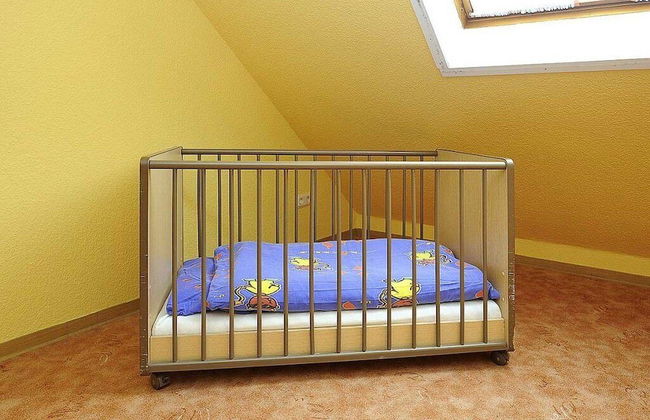 Reiterhof Maack - Foto 33