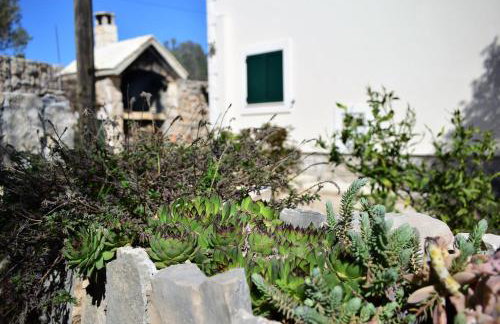 Apartment Ivica - Foto 14