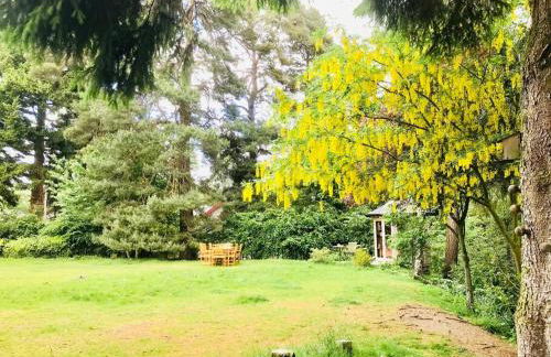 The Beeches Studio, Highlands of Scotland - Foto 24