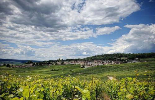 Appartement avec baignoire - Hautvillers - Foto 6