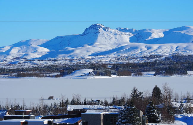 Icelandic Apartments by Heimaleiga - Foto 38