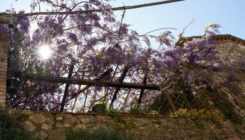 Il Principe di Stifone - Foto 5, Other