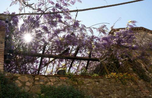 Il Principe di Stifone - Foto 5