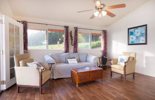 Big Island Getaway, Ocean View Paradise - Foto 17