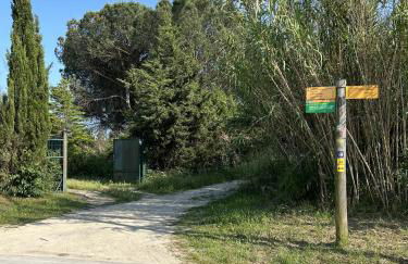 FRANCIAC Casanova - Foto 16