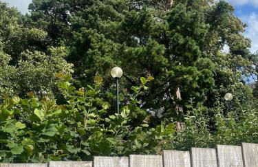 The Amazing Maisonette - Foto 2