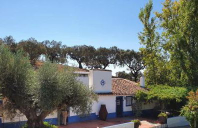 Monte Horta da Velhinha - Foto 10