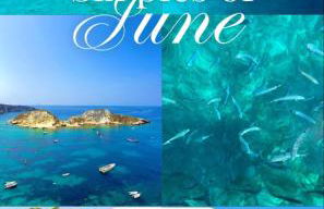 Casa Vacanze Mare Gargano Puglia Marina Di Lesina - 4g min - Foto 31