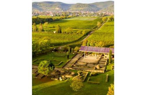 Raquet 2 Comfortable holiday residence - Foto 19