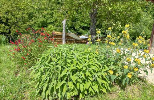 Romantic stone farmhouse studios with private terrace in beautiful Tuscany - Foto 20