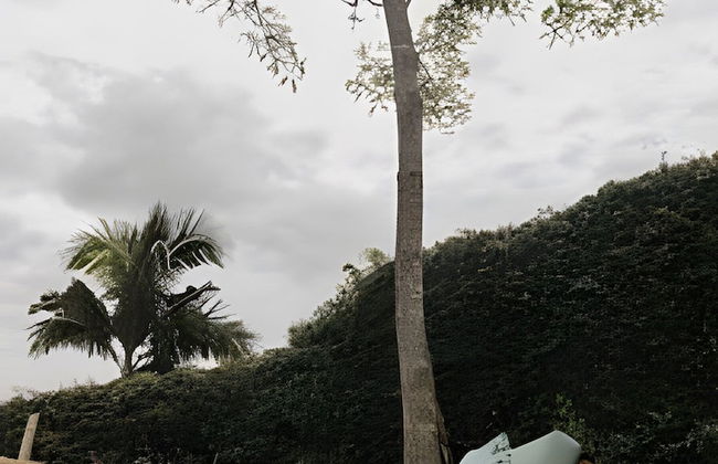 Casa Los Curazaos - Photo 77