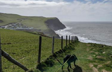 Peacehaven, Ynyslas, Borth - Photo 15