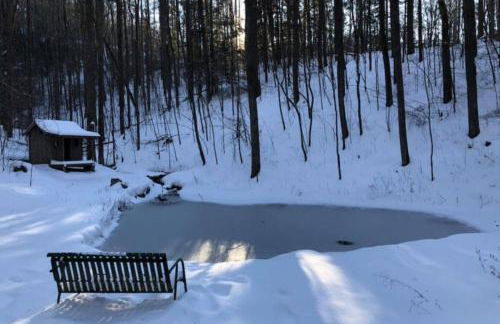 Buzzard Roost cabin at Cabin Fever in NC - Foto 34