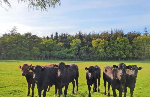 Trebor Cottage - Foto 21