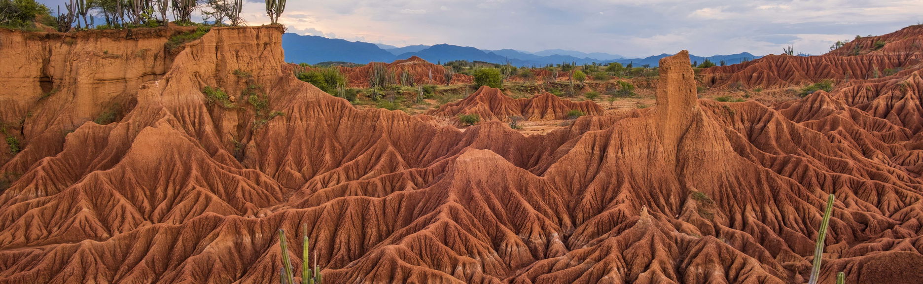 Tatacoa Desert Day Trip