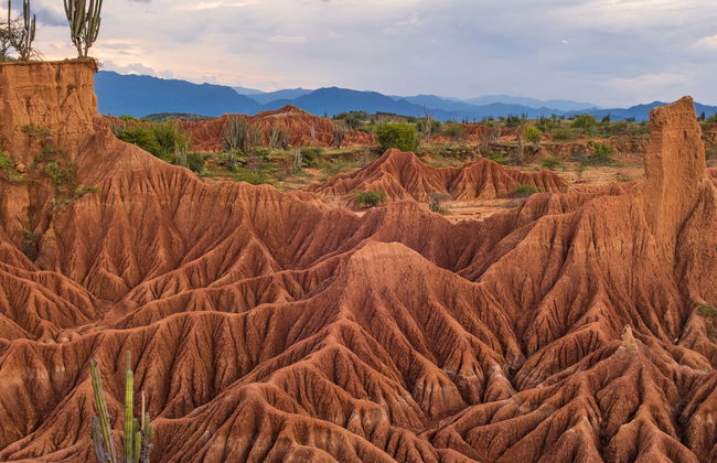 Tatacoa Desert Day Trip - Photo 1