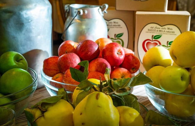 Agriturismo Al Luogo del Giulio - Foto 40