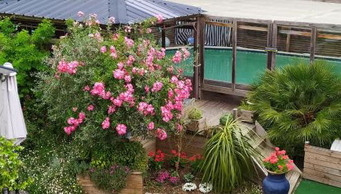 Appt dans maison d'architecte, Spa, Piscine & jardin - Foto 3, Garden view