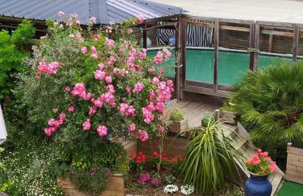 Appt dans maison d'architecte, Spa, Piscine & jardin - Foto 3