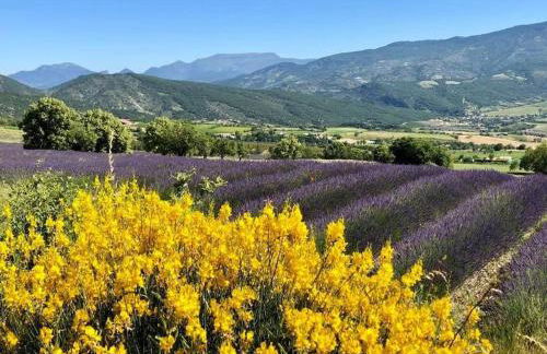 Gîte confortable village médiéval Sainte-Jalle Baronnies provençales - Foto 19
