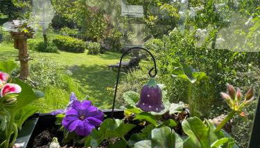 Bergchalet Löwenzahn - Foto 2, Garden