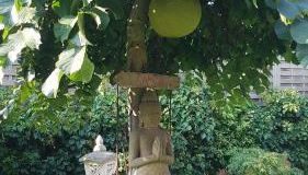 Stylisches Garden Cottage - Foto 4, Garden, Garden view