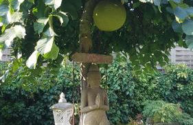 Stylisches Garden Cottage - Foto 4