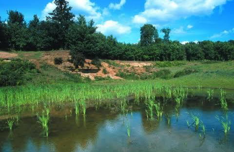 Abingdon - Private Flat with Garden & Parking 01 - Foto 27