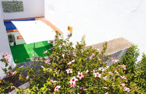 Casa dos Tios Estremoz-veiros - Foto 73