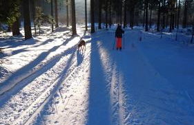 Am Kirchsteig - Foto 23