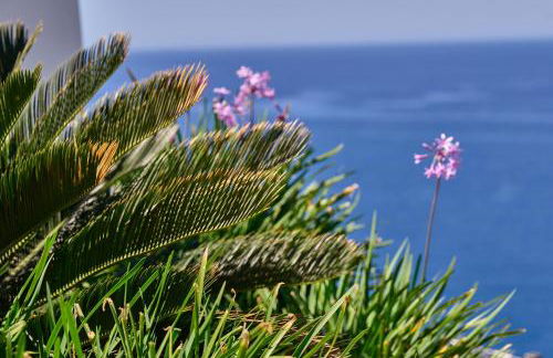 Villa Endless Βlue - Foto 16