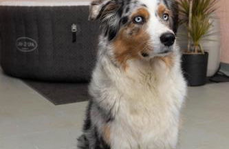 Rhön & Relax Zur Schustermühle - Whirlpool - Foto 12