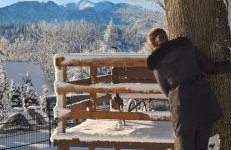 Dom Tatrzański Widok - Foto 11