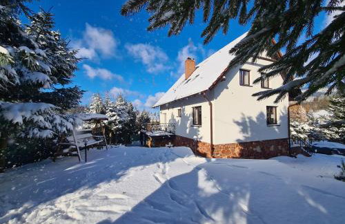 Dom nad Potokiem Sowa - Foto 4