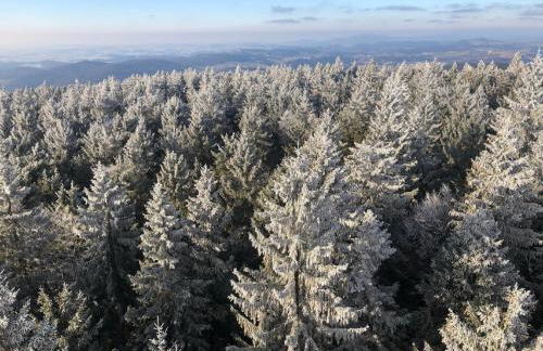 Ferienwohnung Theresa - Photo 26