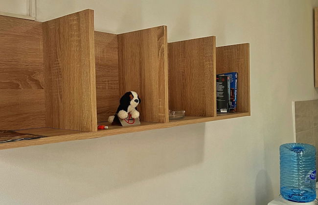 Apartments Lazarevic - Photo 43