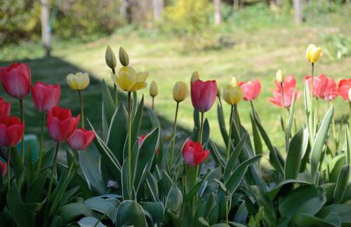 Casa vacanze Dos de Loré - Relax a due passi da Tovel - Foto 23