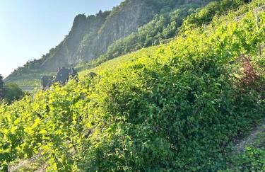 Luxus-Appartments neben Rhein & Reben - Foto 26