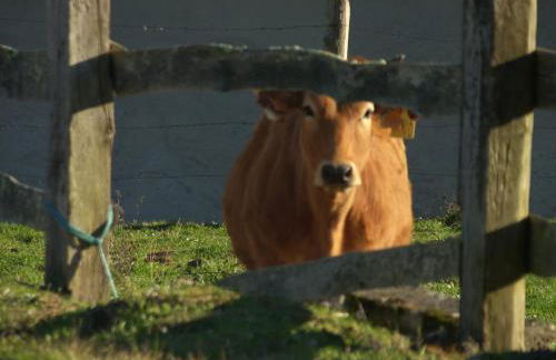 Posada El Pareón - Photo 76