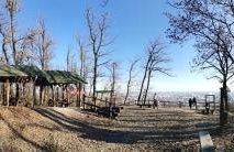 Green Garden Station - Photo 49