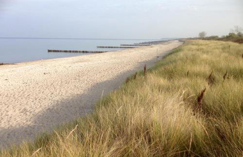 Lindenpalais Wohnung 24 - Foto 20