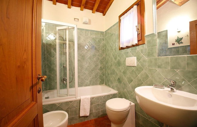 Gatto Bianco Tizzauli - Foto 36