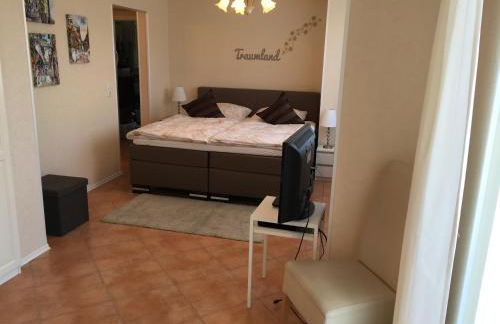 Ferienwohnung „Die 3 am Rhein“ - Foto 16