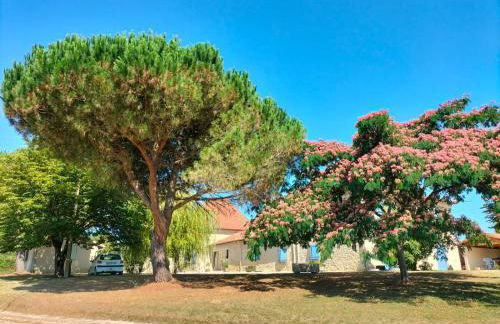 le Pigeonnier gersois - Photo 1