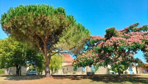 le Pigeonnier gersois - Photo 1