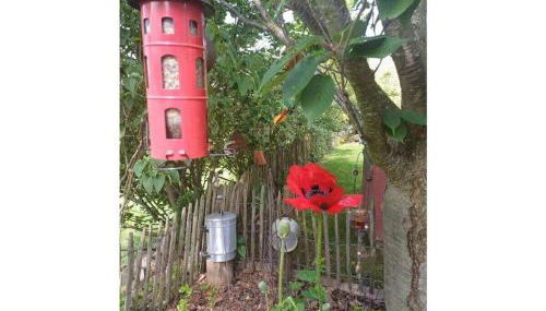 Unterm Stellberg Comfortable holiday residence - Photo 5, Other