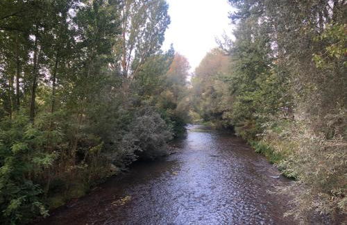 Alojamientos Castellana Jardín 1 y 2 PARKING Y PISCINA GRATIS!! - Foto 23